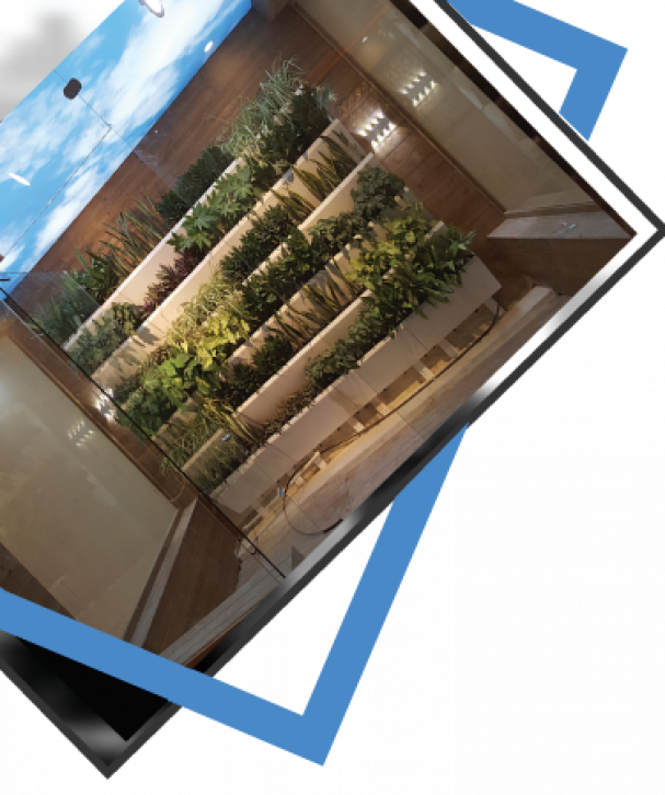 پروژه-شهید-عراقی