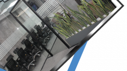 گروه-کاسپین-مدیریت